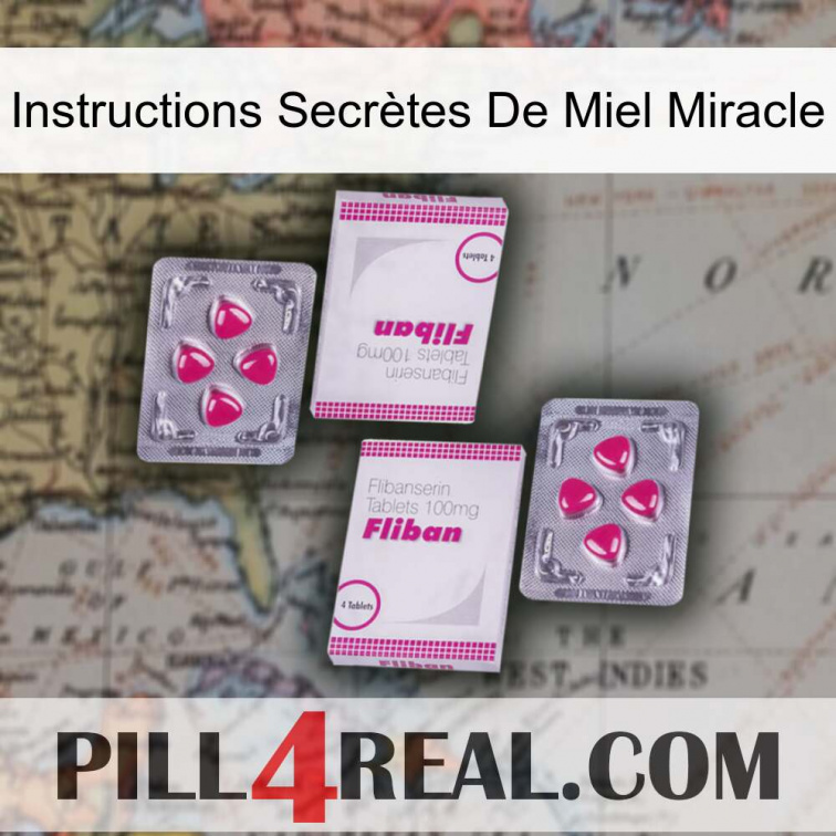 Instructions Secrètes De Miel Miracle 33